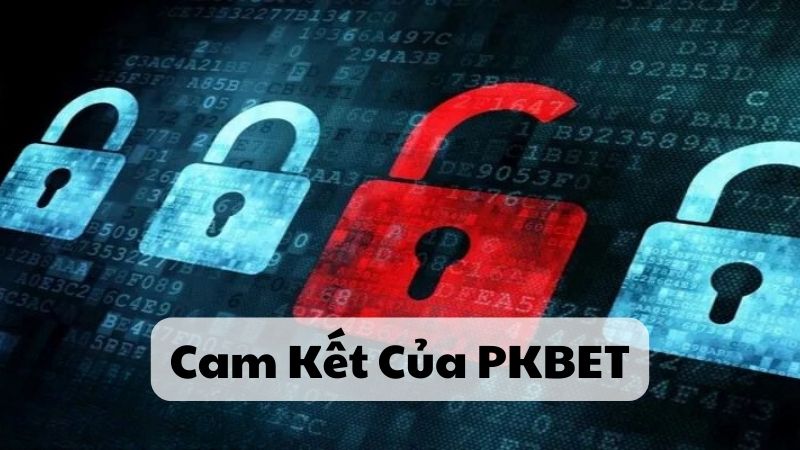 Cam Kết Của PKBET