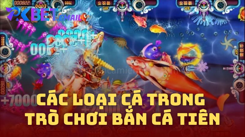 Các Loại Cá Trong Trò Chơi Bắn Cá Tiên